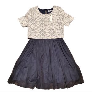 Anthropologie Weston M Lace Floral Mesh Dress